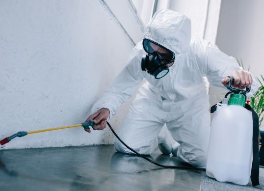 pest control service in Kammanahalli,  Bangalore